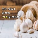 🔔 인삼 먹느니 차라리 '마늘'을 먹으라! 이미지