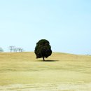 행복한동행 - 북구 | 행복한동행