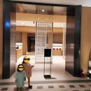 우리레지던스 | 강릉 신라모노그램 수영장 후기, 호텔 vs 레지던스 비교