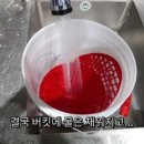 삼식육계 이미지