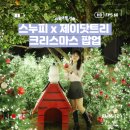 제이애견샵 | [서울] 제이닷트리 스누피 크리스마스 팝업! 사진 예쁘게 찍는 법 + 솔직 후기