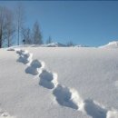 행복한 발자국 이미지