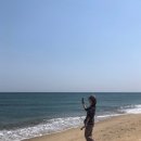 갈매기회센타 이미지