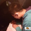 서율 모터스 네이버블로그