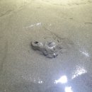 달고펜션 이미지