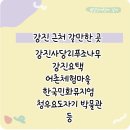 강진-35 | 2026 강진 청자축제 축제 안성훈 최수호 김수찬 김용빈 기본정보