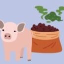 만수 한우 축산 이미지