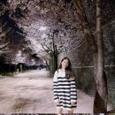 배우 김혜윤, 한밤중 벚꽃 나들이..조명 필요 없는 '자체발광' 이미지