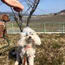 당동박씨네커피