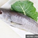 여름 보양식 (7월) 이미지