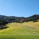 천룡CC(대중제) 이미지