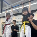 미르 태권도 이미지