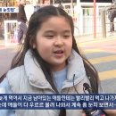 강남초등학교 이미지