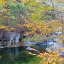 합천군청 쉼터 이미지