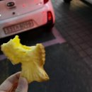 가을과 겨울 사이
