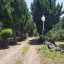 강정동-49 이미지