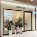 누아(nuah) 이미지