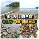 싹쓸이 | [부산 근교 여름 드라이브] 가덕도 외양포항 해루질! 스노클링으로 왕고동 싹쓸이한 후기 (주차, 꿀팁)