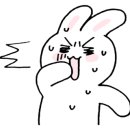 라이조크 이미지