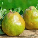 복합영농 이미지