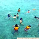 (주)보고여행사 이미지