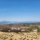 삼덕공원 이미지