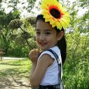 태이 카카오 검색결과