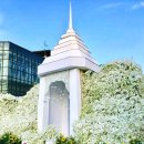 오브제-꽃과빛 이미지