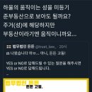 법무법인자유 이미지
