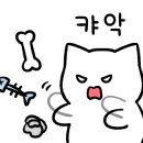 보드게임카페레드버튼이수역점