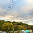 #16. 제대로 단풍캠 가능한 천보산웰니스 캠핑장 후기(단풍나무존)
