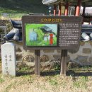 강경젓갈시장 이미지