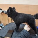 빛나개살롱 이미지