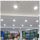 용인대 미래 태권도 이미지