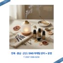 신화에스