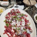 목포여행 낙지요리 호롱이 맛집 독천골 후기 주문 꿀팁