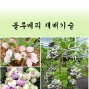 천촌 이미지