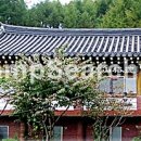 덕유산휴양수련원 이미지