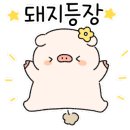 중앙동164 이미지