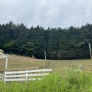 삼부자목장 이미지