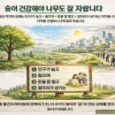 중흥김동진공인중개사사무소 이미지