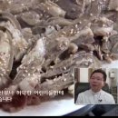 해든누리 흑염소농장 이미지
