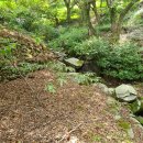 횡천면사무소 이미지