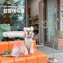 찹찹테이블 이미지