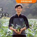 자연과 건강(산야초 이야기) 이미지