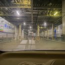 수강로 12번길 | 제주 한달살기 배편 강아지 동반 후기 | 목포-제주 퀸제누비아호 + 차량 선적 주의 사항