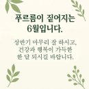 카톡 이미지