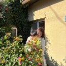 세실맛집 곤드레밥 이미지