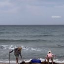 도호농장 이미지