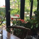 [서울 카페] 꽃향기 가득한 합정 플라워카페, 블뤼테 Blute 방문 후기